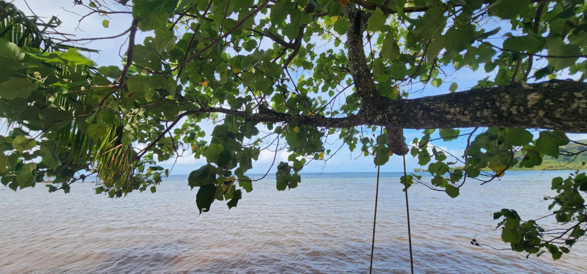 فيلا Fare Mama Rota - Au Bord De L'Ocean Taputapuapea المظهر الخارجي الصورة