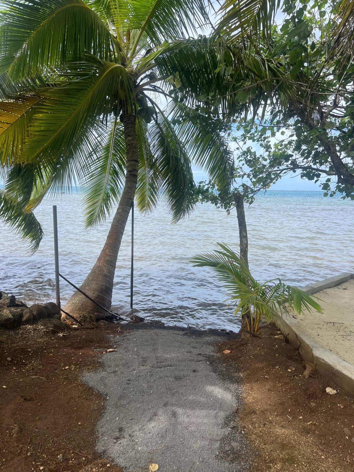 فيلا Fare Mama Rota - Au Bord De L'Ocean Taputapuapea المظهر الخارجي الصورة